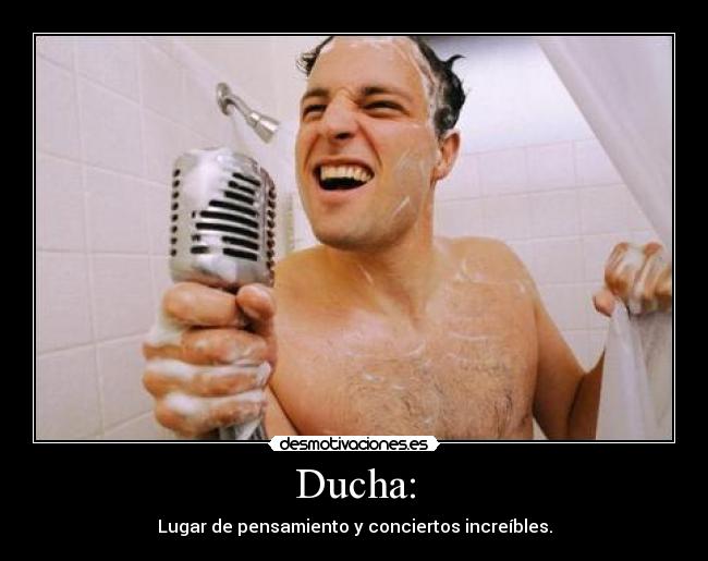 Ducha: - Lugar de pensamiento y conciertos increíbles.