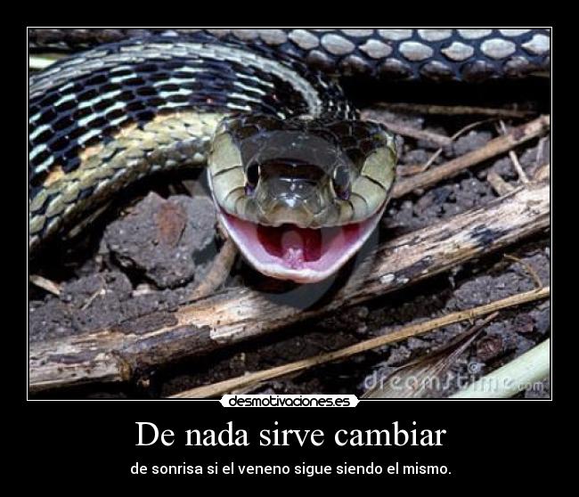 De nada sirve cambiar - de sonrisa si el veneno sigue siendo el mismo.