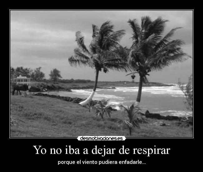 Yo no iba a dejar de respirar -