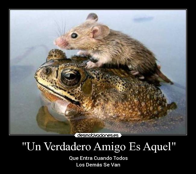 Un Verdadero Amigo Es Aquel -