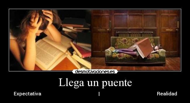 carteles dormir estudiar gran dilema ccs desmotivaciones