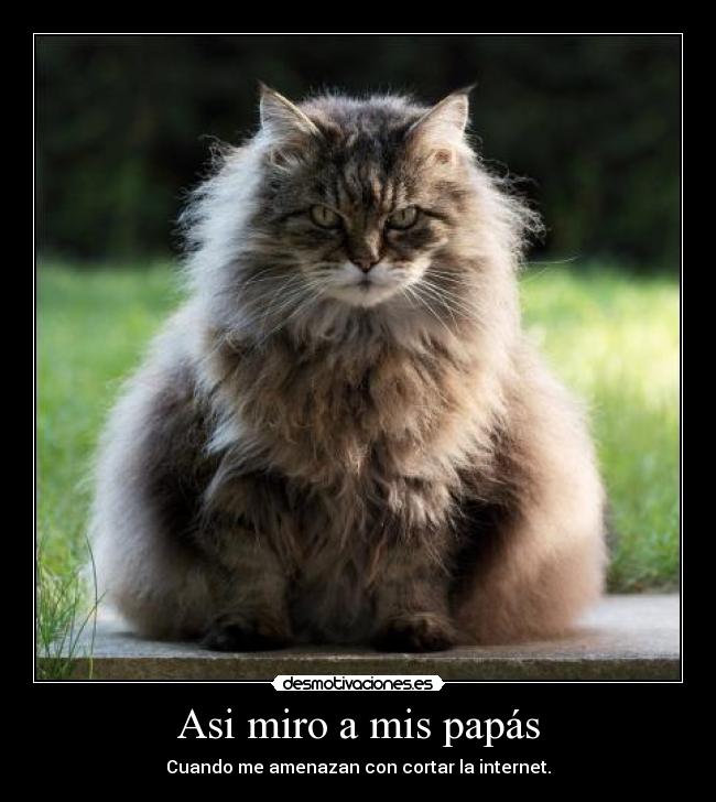 Asi miro a mis papás - Cuando me amenazan con cortar la internet.