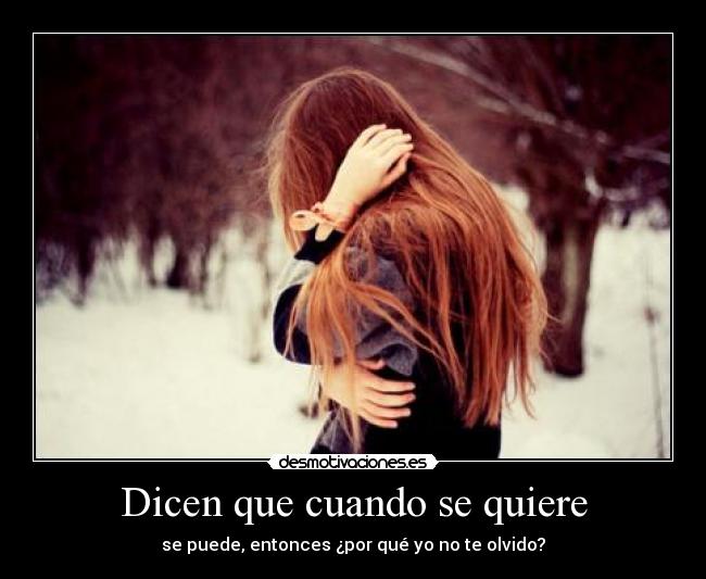 carteles se por que porque quiero olvidarte desmotivaciones