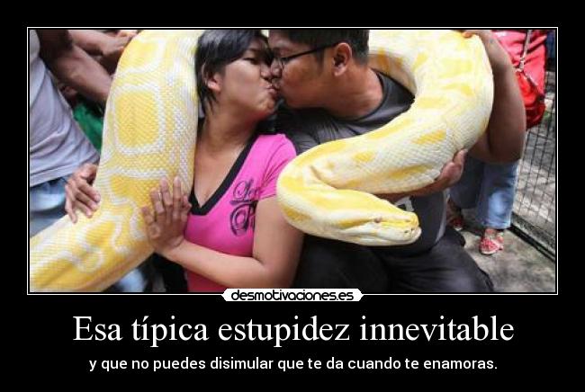 Esa típica estupidez innevitable - 