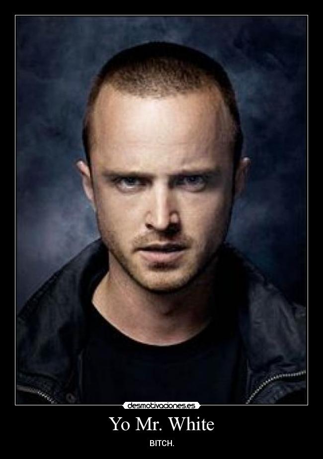 Yo Mr. White - BITCH.