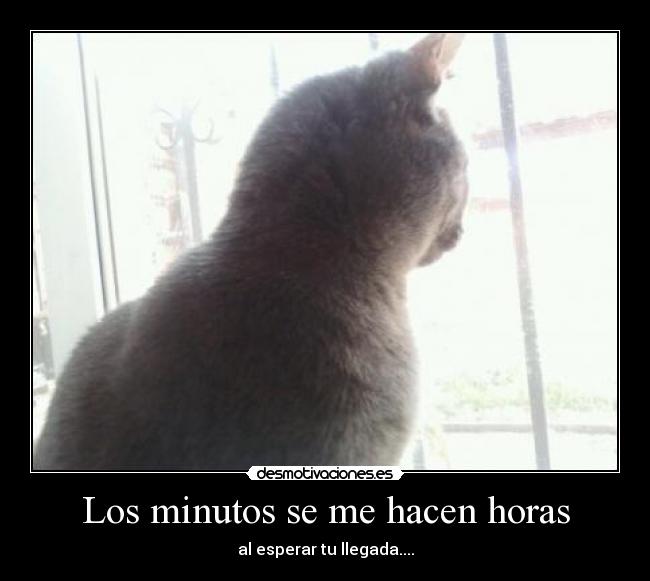 Los minutos se me hacen horas - al esperar tu llegada....