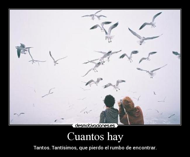 Cuantos hay - 