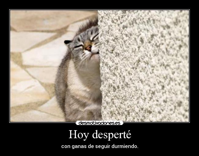 Hoy desperté -