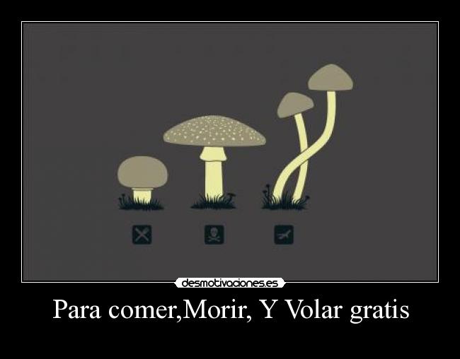 Para comer,Morir, Y Volar gratis -