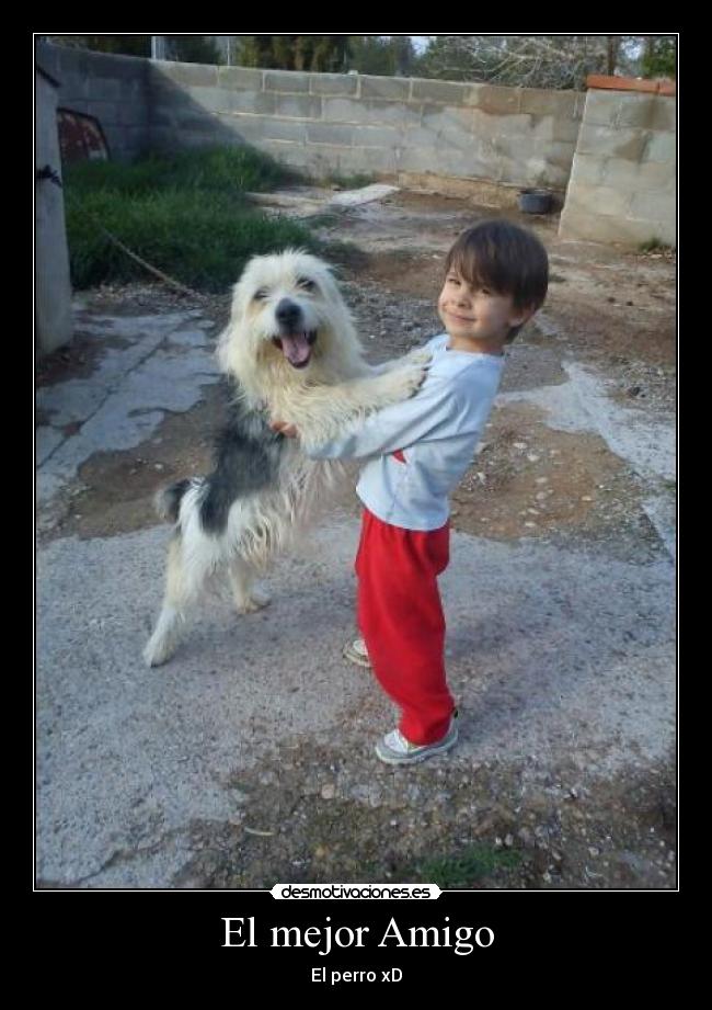 carteles meel desmotivaciones