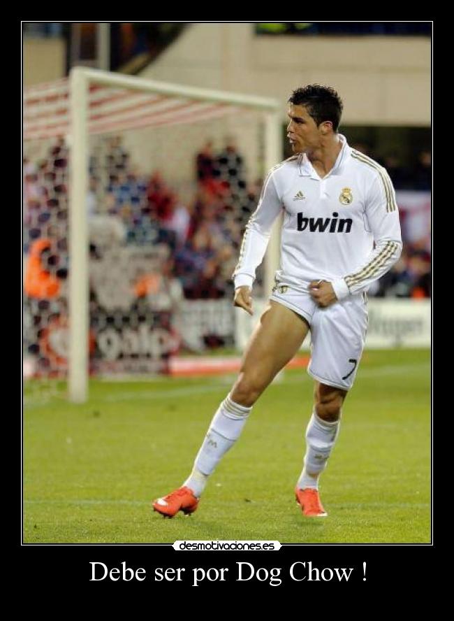 Debe ser por Dog Chow ! -