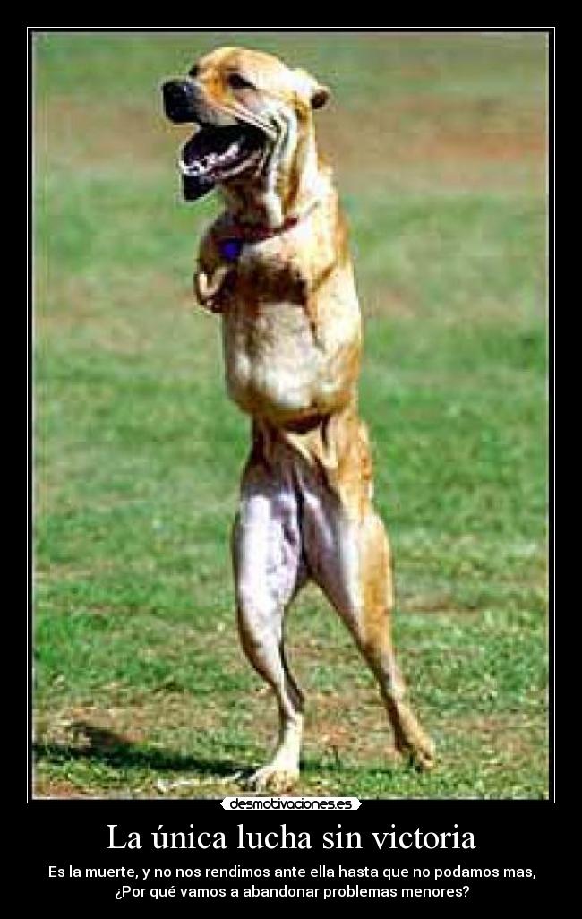 La única lucha sin victoria - Es la muerte, y no nos rendimos ante ella hasta que no podamos mas,
¿Por qué vamos a abandonar problemas menores?