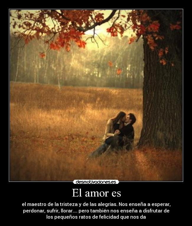 El amor es - el maestro de la tristeza y de las alegrías. Nos enseña a esperar,
perdonar, sufrir, llorar.... pero también nos enseña a disfrutar de
los pequeños ratos de felicidad que nos da