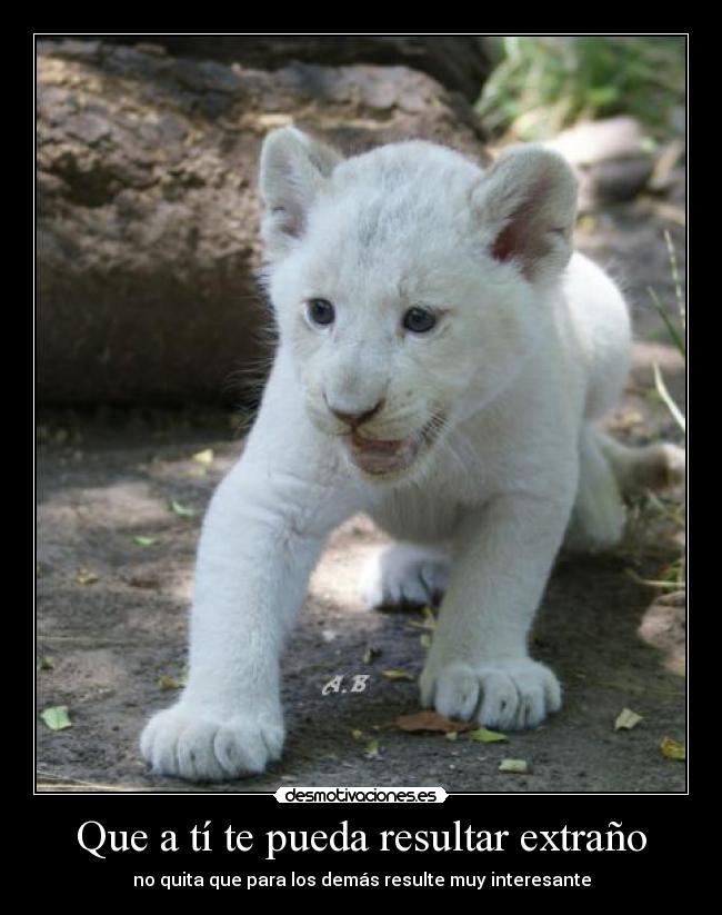Que a tí te pueda resultar extraño -