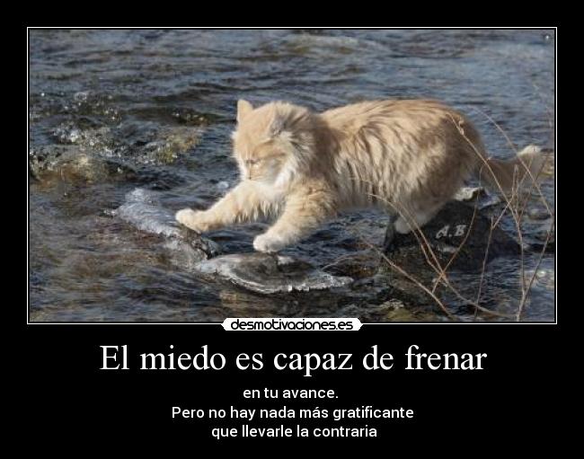 El miedo es capaz de frenar -