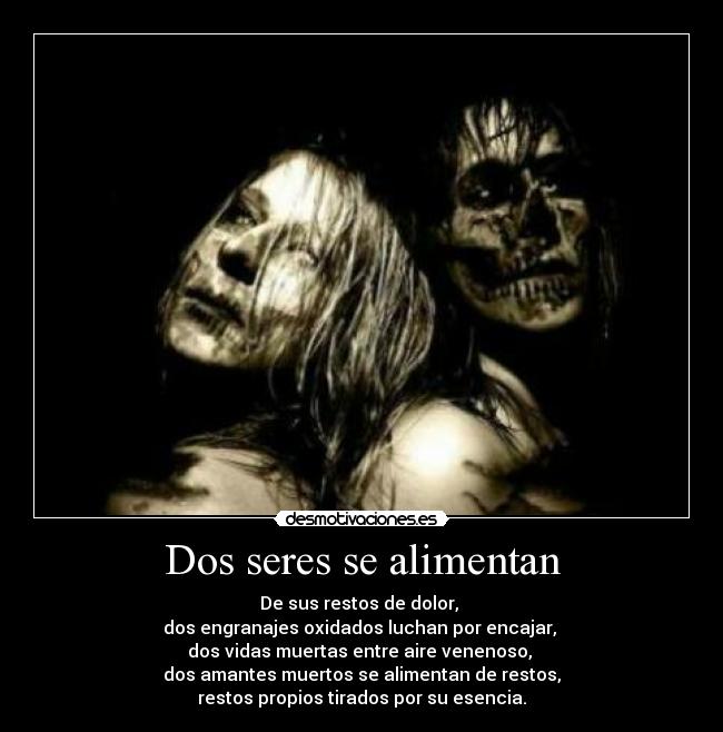 Dos seres se alimentan - 
