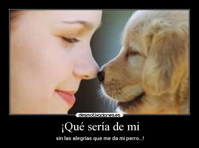 ¡Qué sería de mi -
