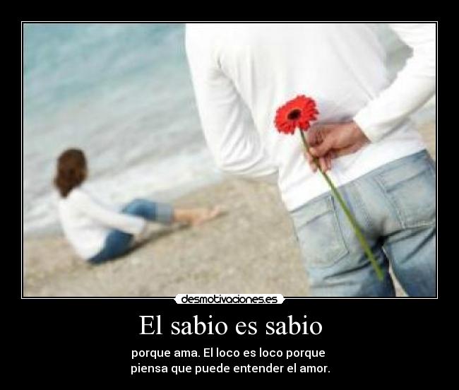 carteles sabio sabio desmotivaciones