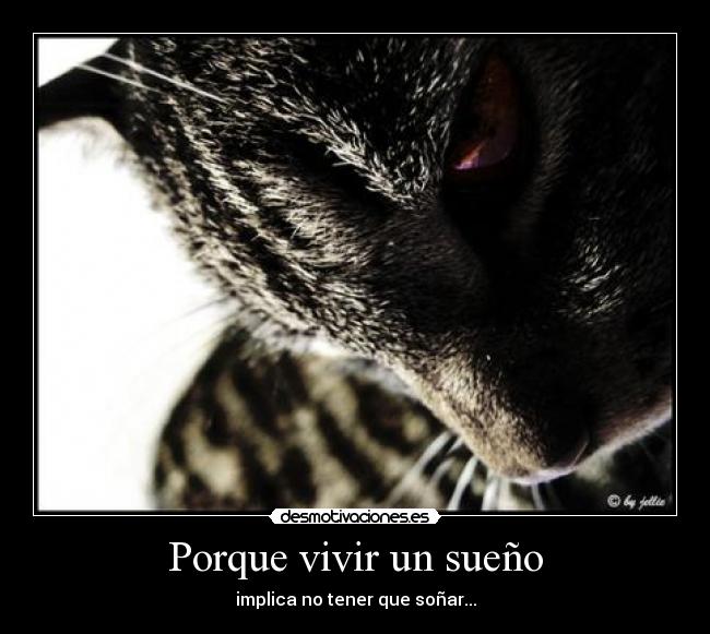 Porque vivir un sueño - implica no tener que soñar...