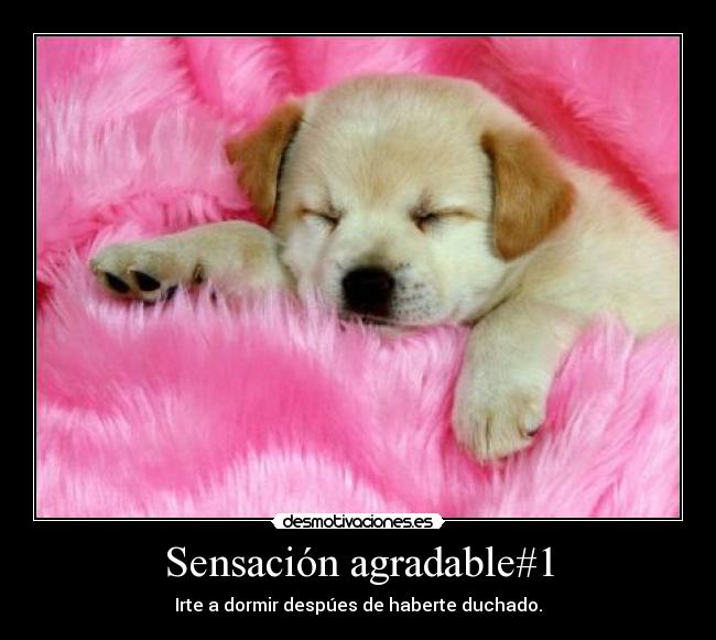 Sensación agradable#1 -