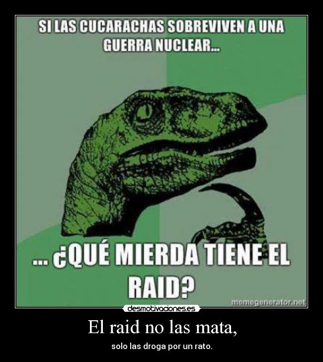 El raid no las mata, - 