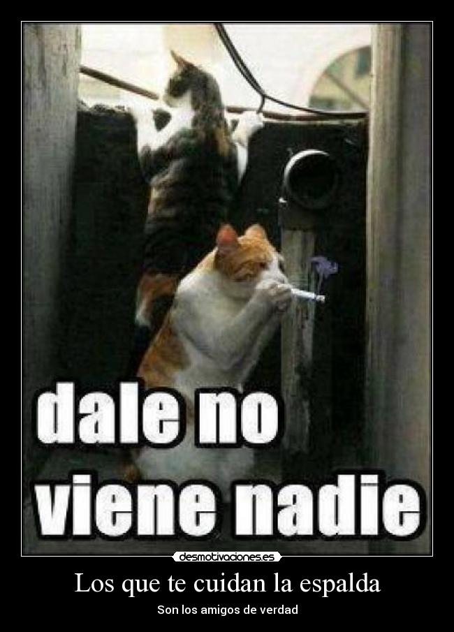 carteles yedid desmotivaciones