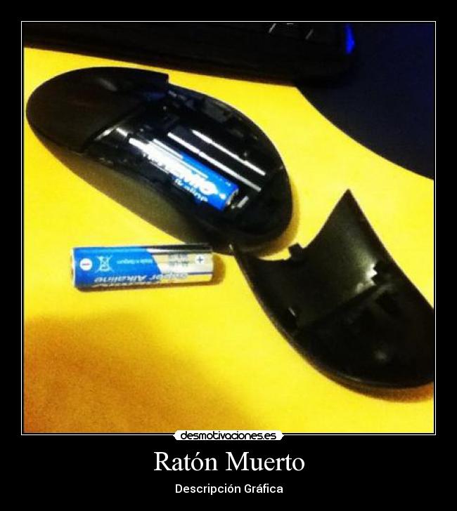 Ratón Muerto - Descripción Gráfica