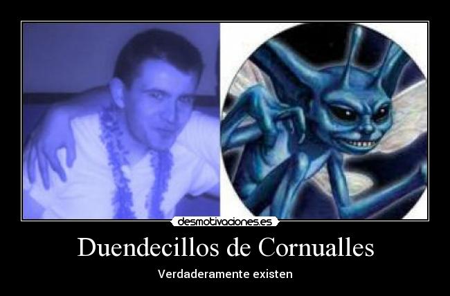 carteles duendecillo cornualles personajes ficticios existen verdad desmotivaciones