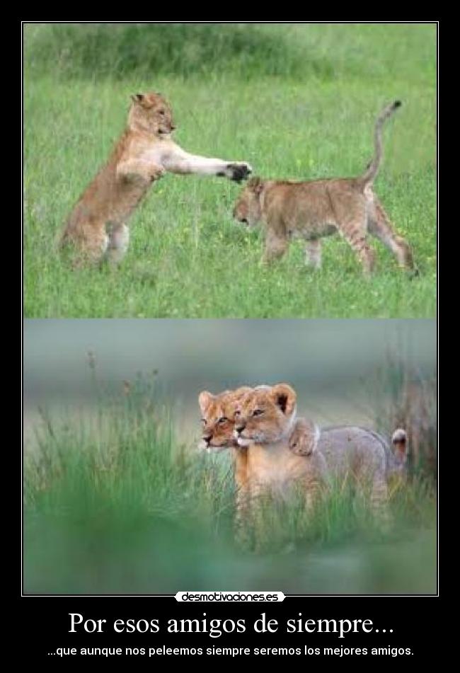 Por esos amigos de siempre... -