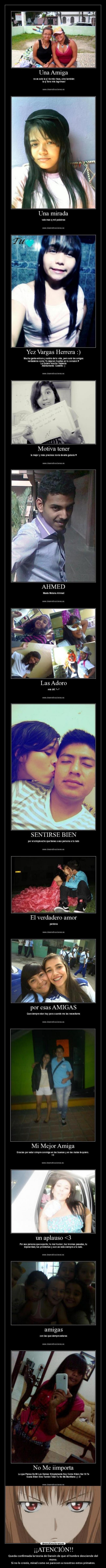 carteles carteles tuenti mierda horo sabe protesta harukaze anime darwin mono evolucion desmotivaciones