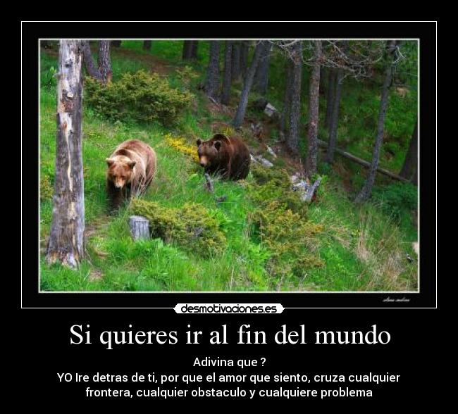 Si quieres ir al fin del mundo -