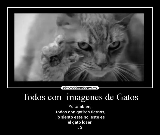 Todos con  imagenes de Gatos - Yo tambien,
 todos con gatitos tiernos,
 lo siento este no! este es
 el gato loser. 
: 3