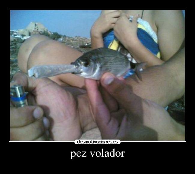 pez volador -