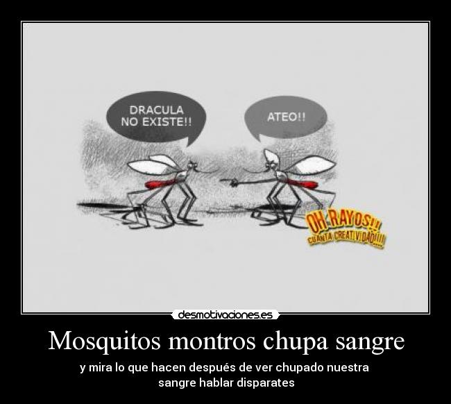 Mosquitos montros chupa sangre - y mira lo que hacen después de ver chupado nuestra 
sangre hablar disparates