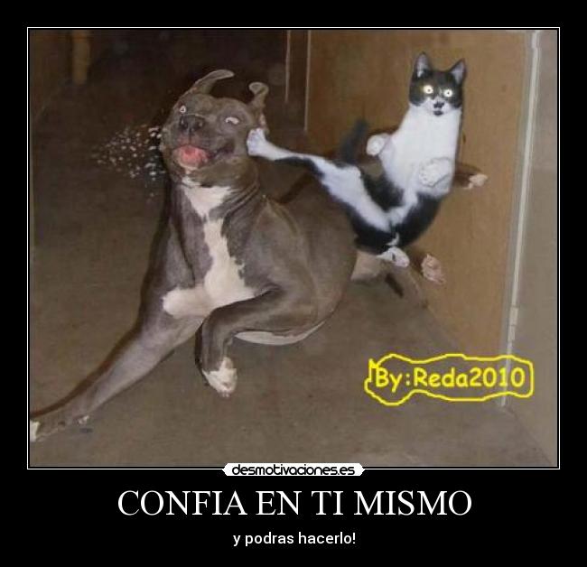 CONFIA EN TI MISMO - y podras hacerlo!