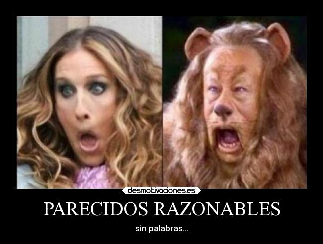 PARECIDOS RAZONABLES - sin palabras...