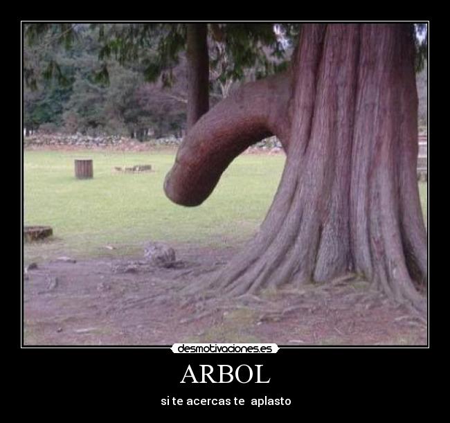 ARBOL - si te acercas te  aplasto