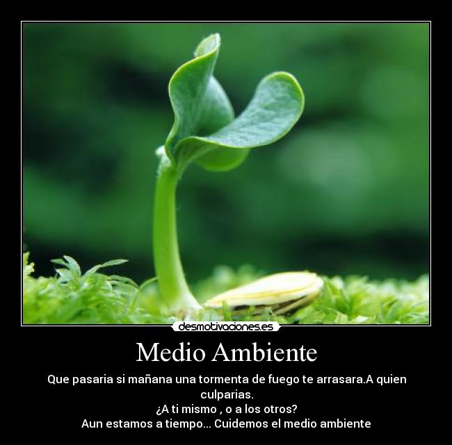 Medio Ambiente - Que pasaria si mañana una tormenta de fuego te arrasara.A quien culparias.
¿A ti mismo , o a los otros?
Aun estamos a tiempo... Cuidemos el medio ambiente