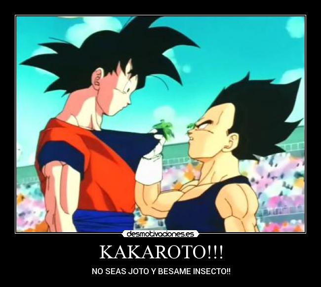 KAKAROTO!!! - NO SEAS JOTO Y BESAME INSECTO!!