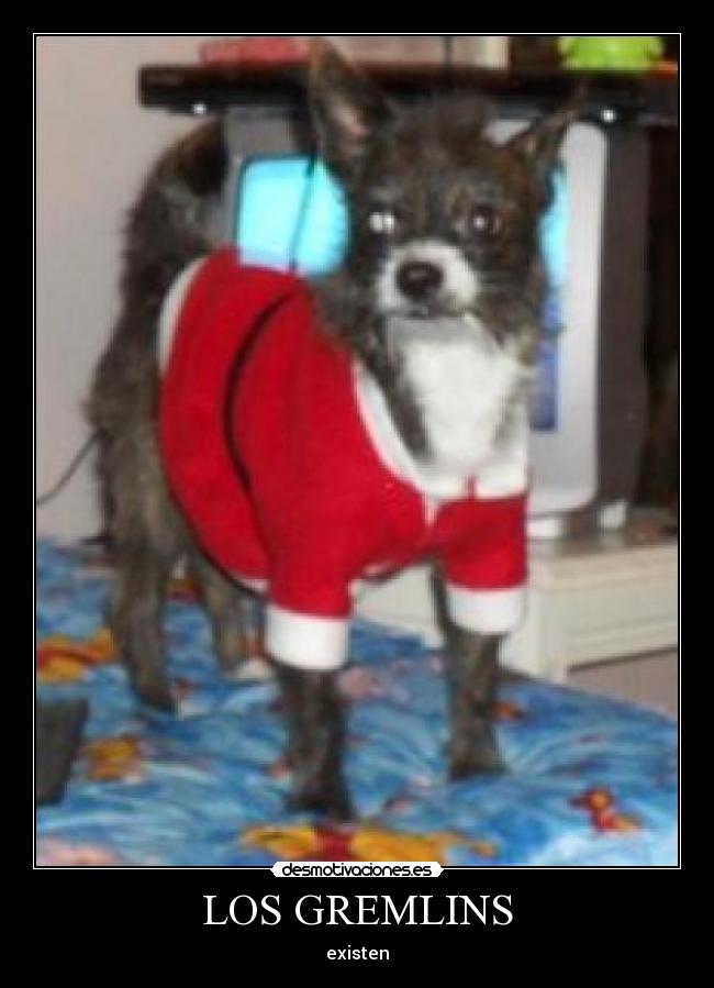 LOS GREMLINS - existen