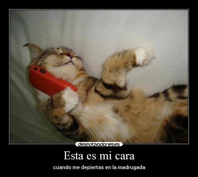 Esta es mi cara - cuando me depiertas en la madrugada