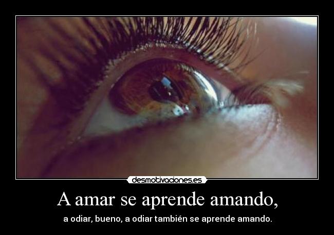 A amar se aprende amando, - a odiar, bueno, a odiar también se aprende amando.