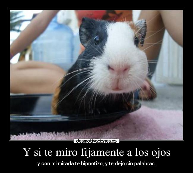 Y si te miro fijamente a los ojos -