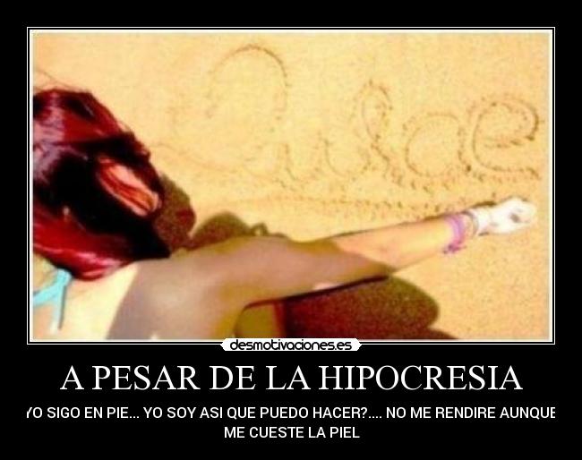 carteles dulce maria playa nombre rendirce rebelde rbd desmotivaciones