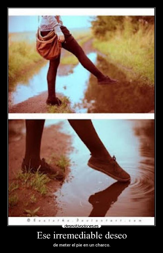 Ese irremediable deseo - de meter el pie en un charco.