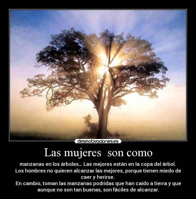 Las mujeres son como -