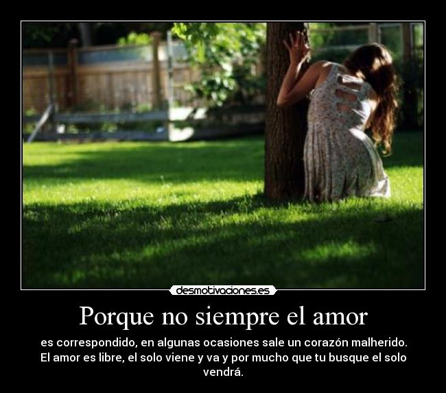 Porque no siempre el amor -