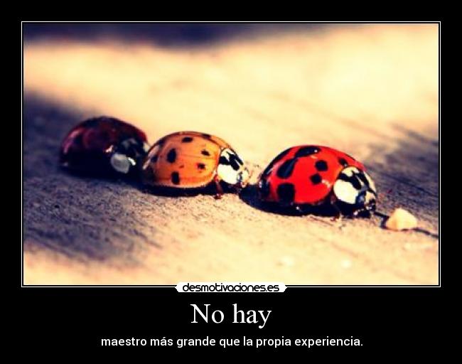 No hay - maestro más grande que la propia experiencia.