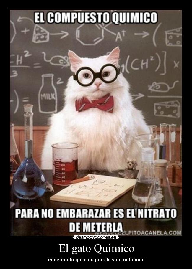 El gato Quimico - enseñando quimica para la vida cotidiana