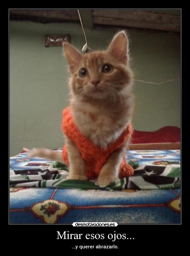 Mirar esos ojos... -